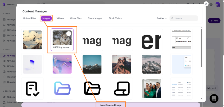 Images tab of the Content Manager with a selected image and the Insert Selected Image button