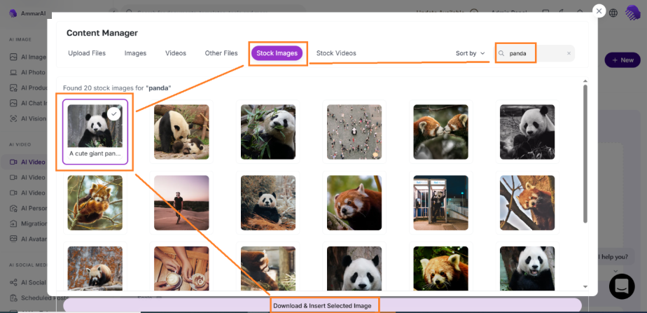Stock Images tab of the Content Manager showing search results for a keyword