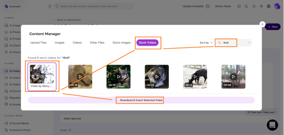Stock Videos tab of the Content Manager showing searchable stock footage results