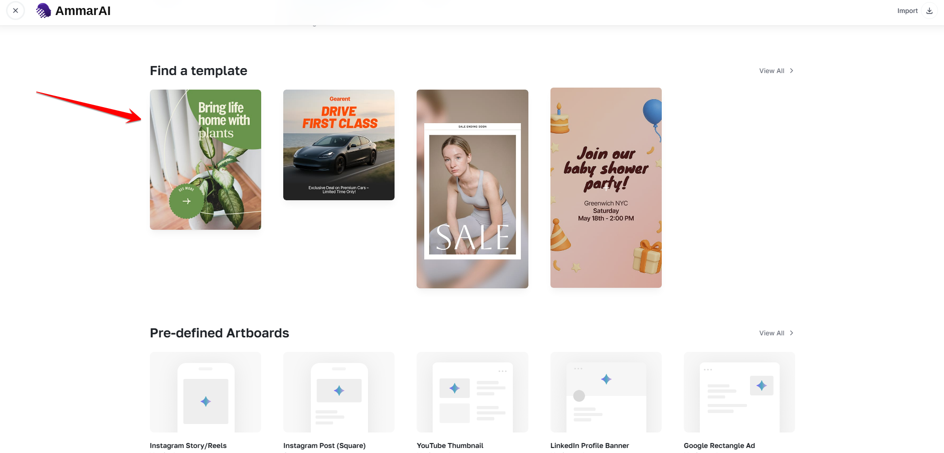 AmmarAI Creative Suite template gallery with predefined designs