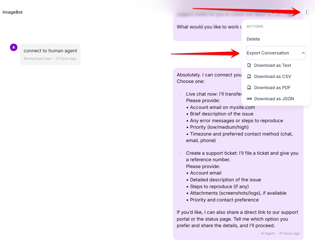 Export conversation menu with text, CSV, PDF and JSON download options
