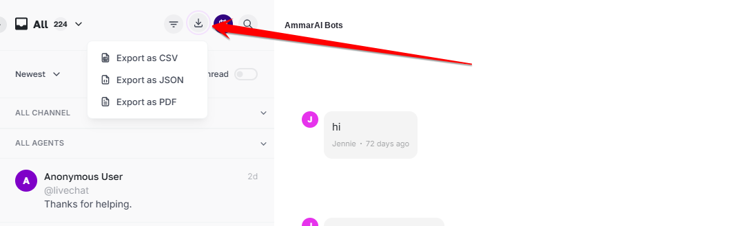 Export menu above the conversation list with CSV, JSON and PDF options